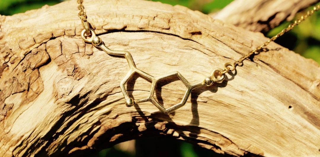 Serotonin Molecule Necklace — Silver-Plated Brass