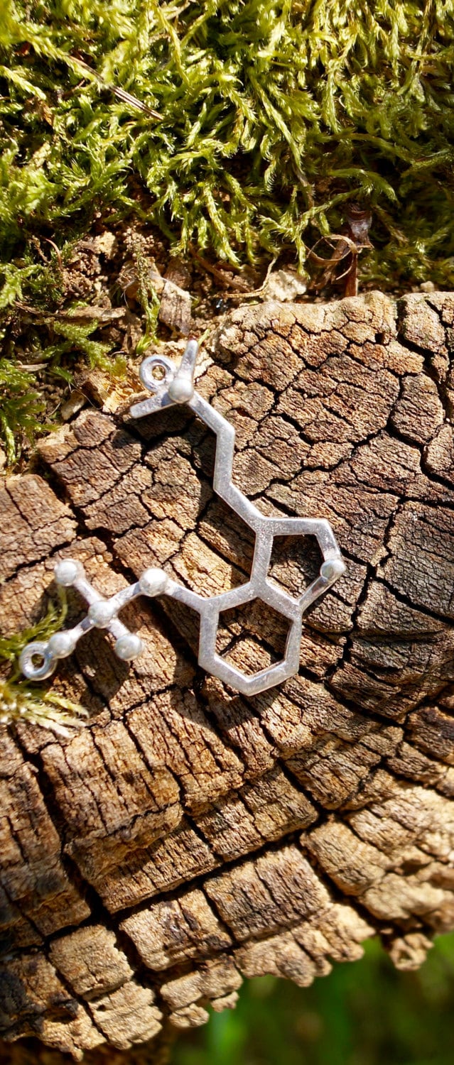Psilocybin Molecule Necklace — 925 Silver or Brass