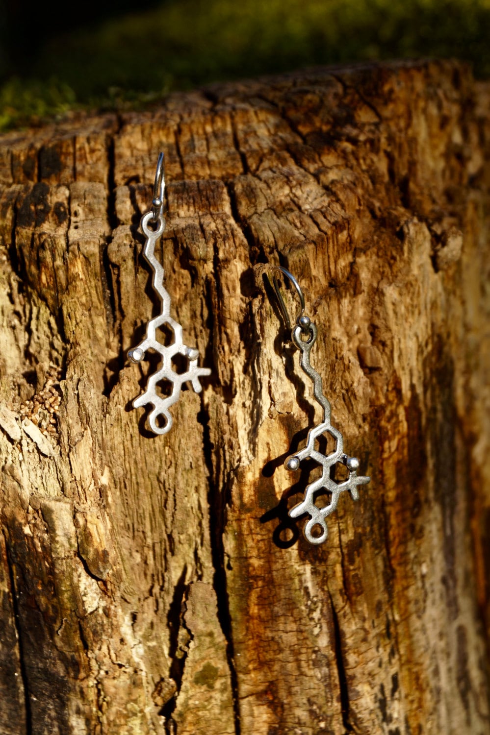THC Molecule Earrings — 925 Silver or Brass
