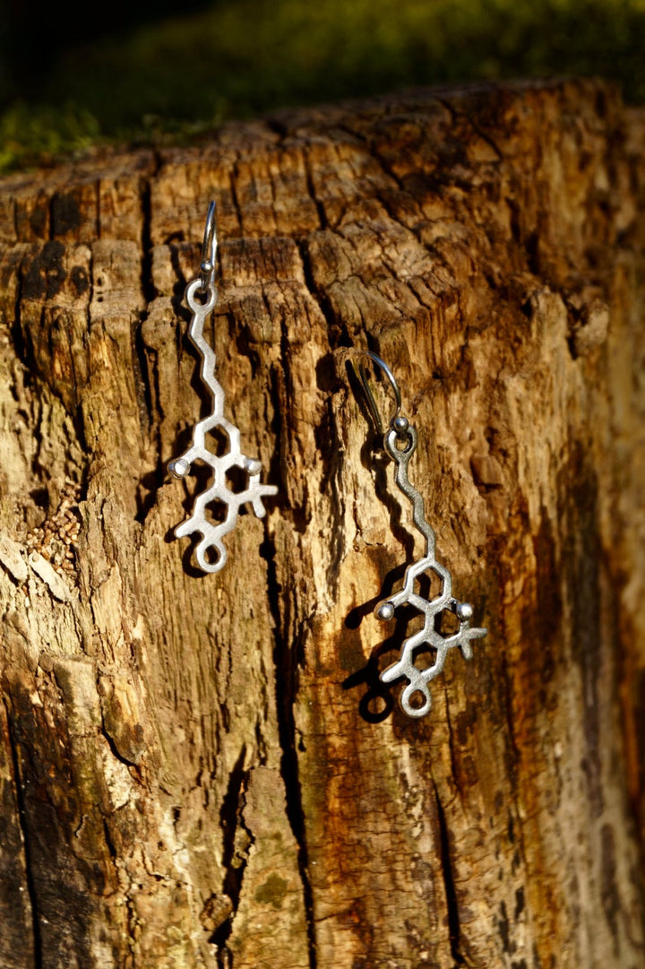 THC Molecule Earrings — 925 Silver or Brass