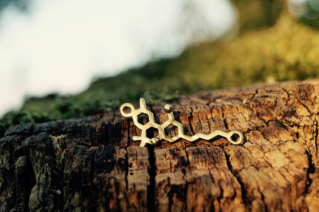 THC Molecule Necklace — 925 Silver or Brass