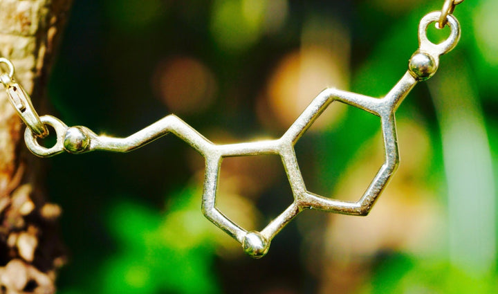 Serotonin Molecule Necklace — Silver-Plated Brass