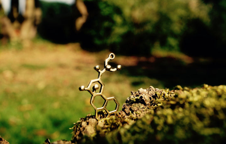 LSD Molecule Necklace — 18k Gold Plated