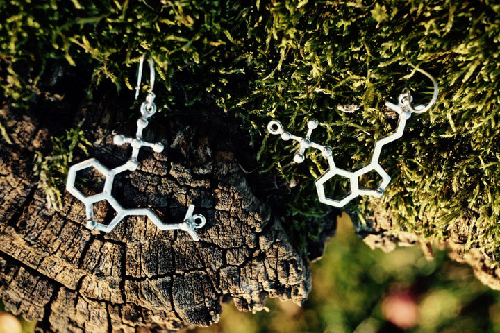 Psilocybin Molecule Earrings — 925 Silver/Brass