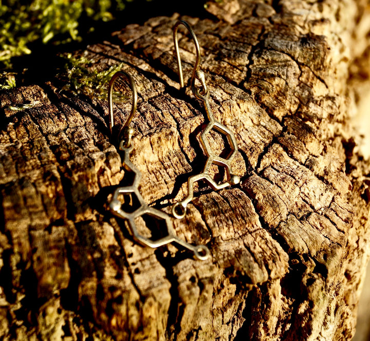 Serotonin Molecule Earrings — 925 Silver or Brass