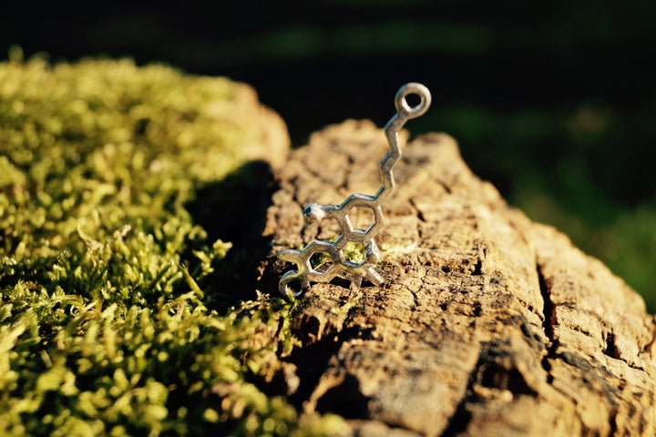 THC Molecule Necklace — 925 Silver or Brass