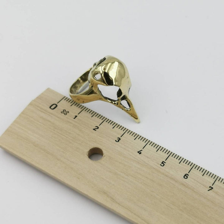 Bird Skull Ring — Brass