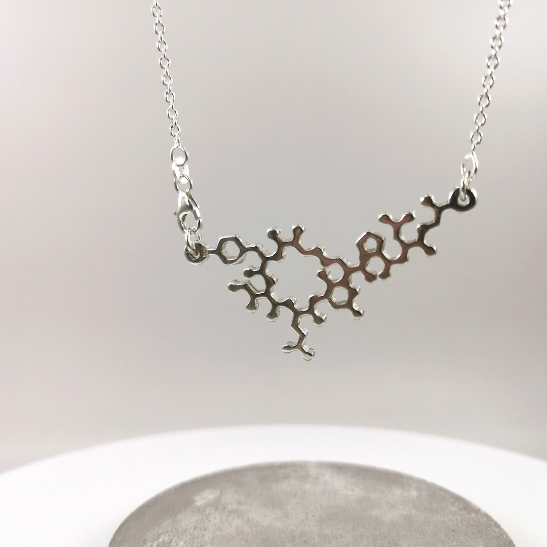 Oxytocin Molecule Necklace, Molecular Structure Necklace, 925 Silver Oxytocin Pendant