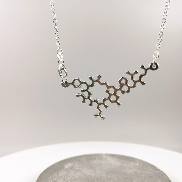 Oxytocin Molecule Necklace, Molecular Structure Necklace, 925 Silver Oxytocin Pendant