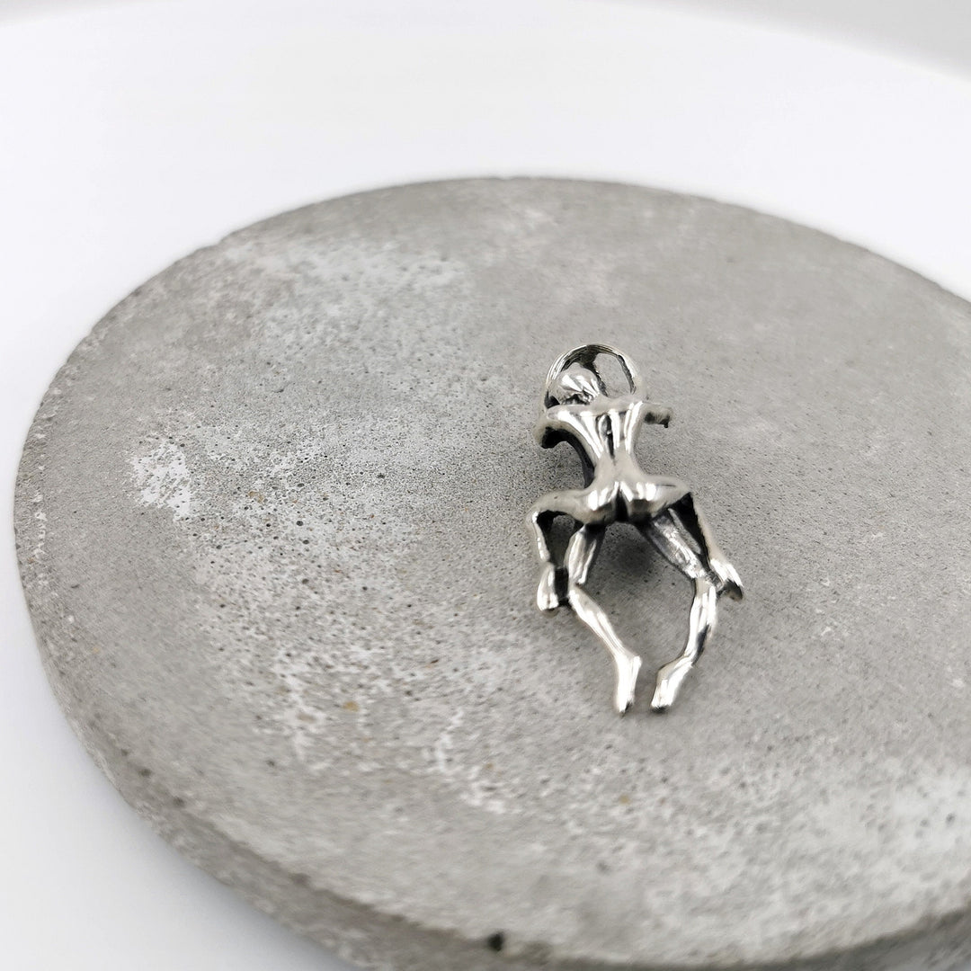 Tantra Pendant, Kamasutra Pendant Cowgirl — 925 Silver