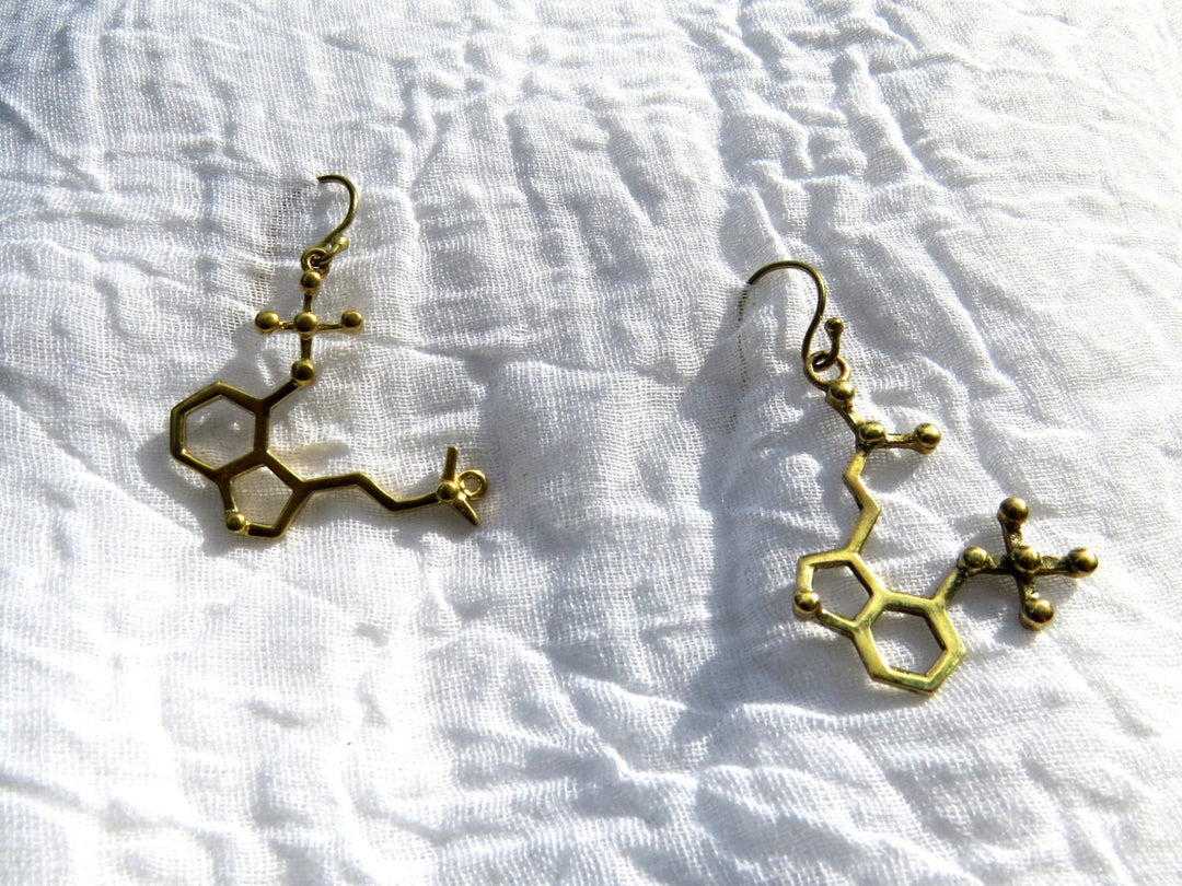 Psilocybin Molecule Earrings — 925 Silver/Brass