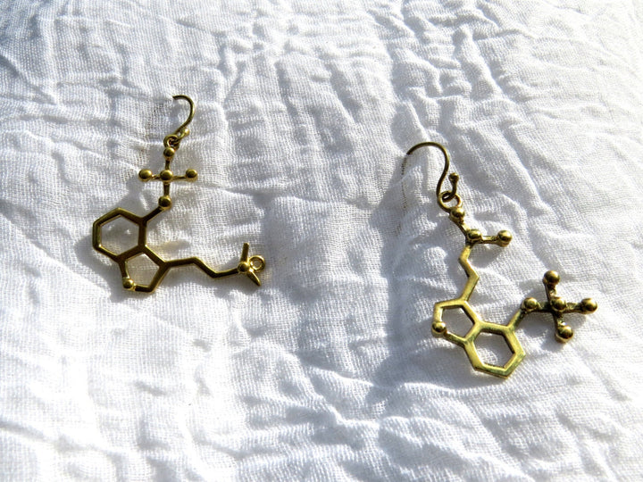 Psilocybin Molecule Earrings — 925 Silver/Brass
