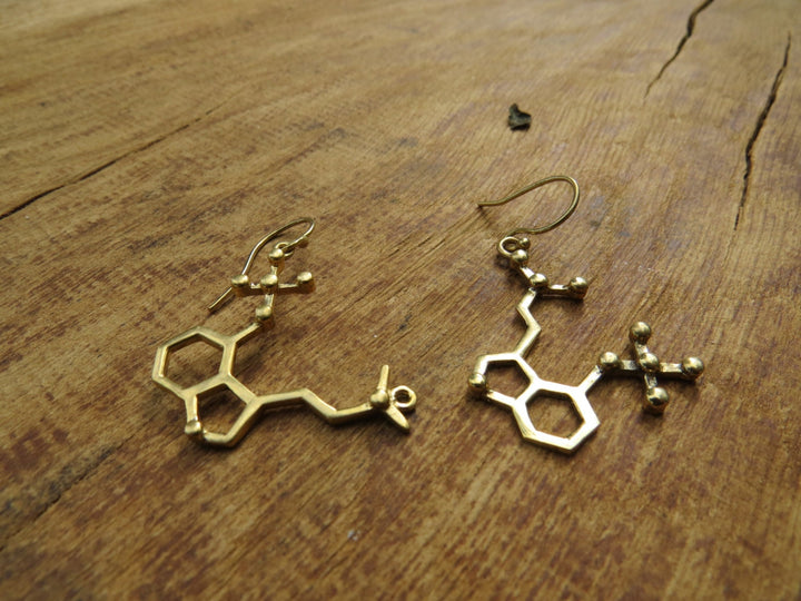 Psilocybin Molecule Earrings — 925 Silver/Brass