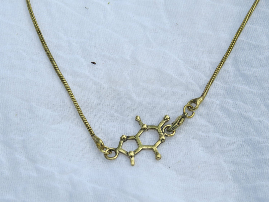 Theobromine Molecule Necklace — 925 Silver/Brass