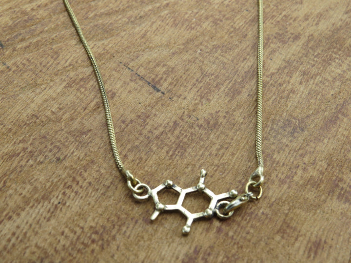 Theobromine Molecule Necklace — 925 Silver/Brass