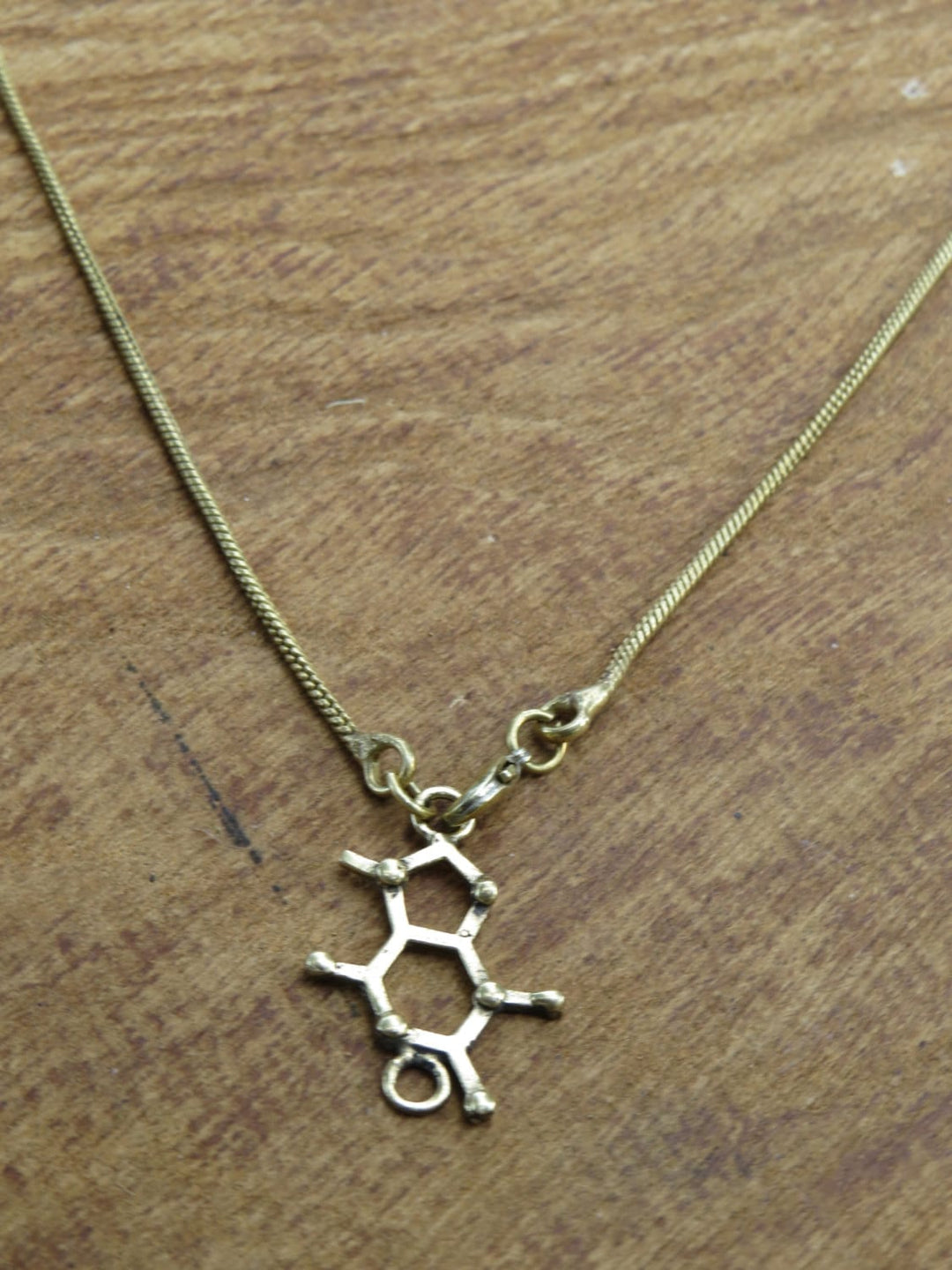 Theobromine Molecule Necklace — 925 Silver/Brass